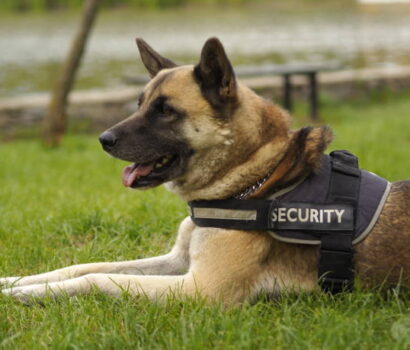 "Contact Comfort Security Ltd – Trusted Security Services Uganda